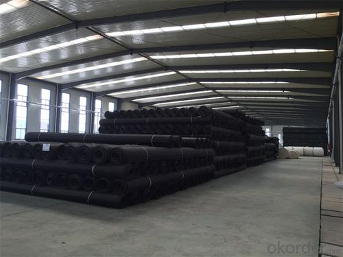 Vegetated Geogrids - Bitumen Coated Fiberglass Geogrid with High Tensile Strength System 1