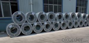 Galvanized Steel Coil  Hot Dipped ss400 CNBM System 1