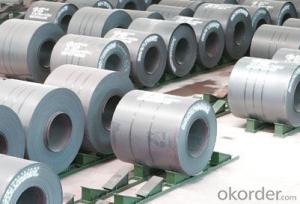Hot Dipped Galvanized Steel Coils  CNBM System 1