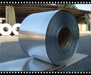 Electro Galvanized Steel Coil with High Quality  CNBM System 1