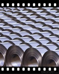 Hot Rolled Steel Coil &Prime Hot Rolled Steel Sheet in Coil/hHr Coils SS400B CNBM System 1