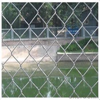 Chain Link Wire Mesh Galvanized PVC Coated Wire Mesh with Good Quality