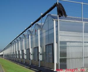 Special Glass Greenhouse  Reflective Glass 5.0-550*400