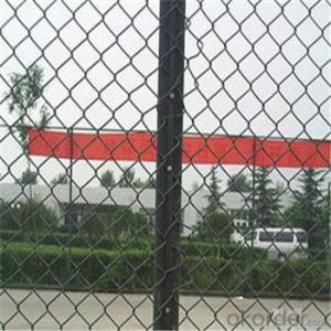 Chain Link Wire Mesh Galvanized PVC Coated Wire Mesh with Good Quality System 1