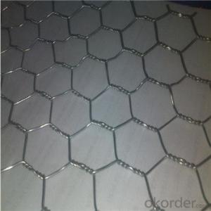 Galvnized Wire Mesh Best Seller Galvanized Welded Wire Mesh High Quality System 1