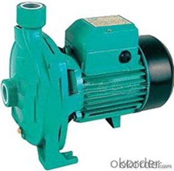 CPm Series Peripheral Centrifugal Water Pump