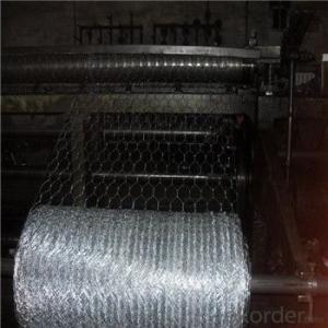 Galvanized Welded Wire Mesh for Fence Panel Hot Dipped PVC Coated
