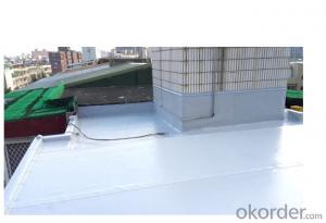 PVC Roofing Waterproof Membrane/Professional Waterproof Membrane
