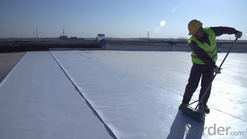 EPDM Waterproof Membrane for Roofing Market System 1