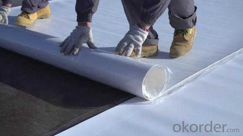 TPO Waterproof Membrane for Roofing Market System 1