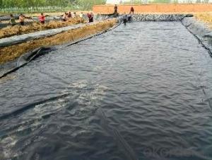 SBS / APP Modified Bitumen Sheet Waterproofing Membrane for Ponds