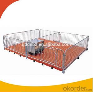 Galvanized Nursery Crate or Stall for Piglets or  Calves 3*1.8m