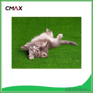 Eco-friendly Outdoor Pet Landscape Turf Grass Price