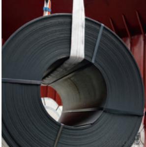Steel ASTM A653 Hot-Dip Zinc-Coated Steel Coil  CNBM System 1