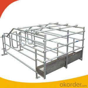 Galvanized Gestation Crate or Stall for Piglets(2 Booths)