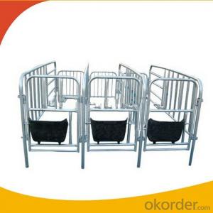 Galvanized Gestation Crate or Stall for Piglets(3 Booths) System 1