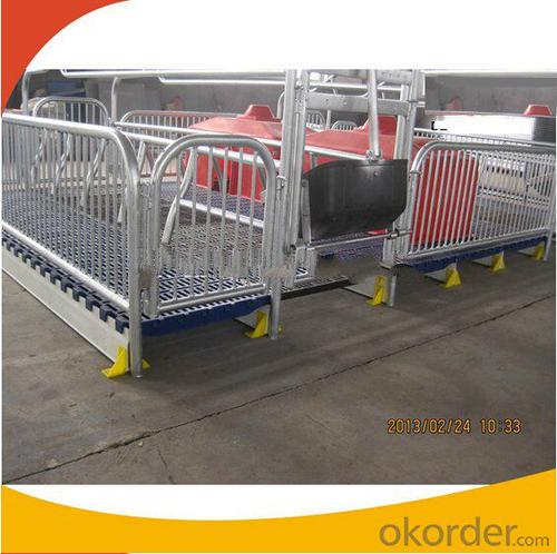 Galvanized Private Gestation Crate or Stall for Piglets (1 Booths) System 1