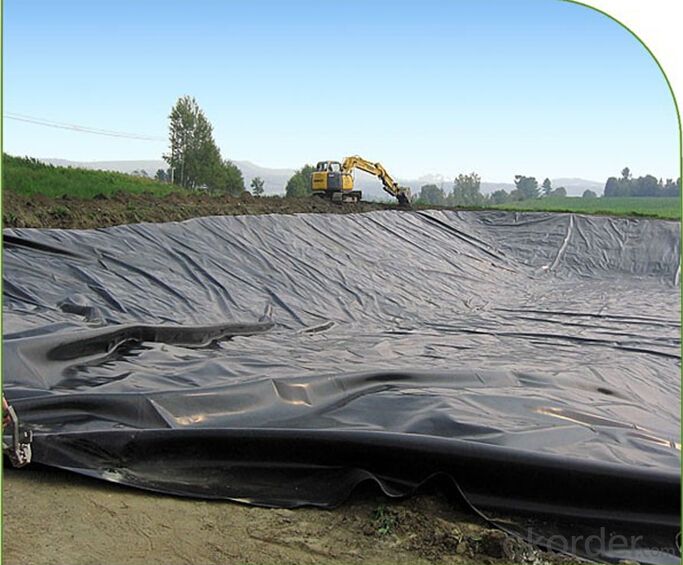 ASTM HDPE Geomembrane for Aquiculture and Landfill Project Use