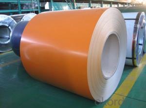 304 Hot Rolled Stainless Steel Coil - Hot-Dip Galvanized Pre-Painted Steel Coil for Tiles 1mm Thickness