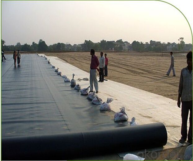 ASTM HDPE Geomembrane for Aquiculture and Landfill Project Use