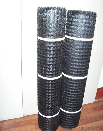 Europe Geogrids Market Fiberglass Geogrid for Embankment Reinforcement System 1