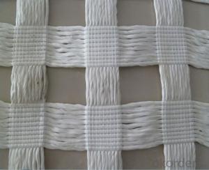 PVC Coated Polyester Geogrid Warp knitting for Railway and Road System 1