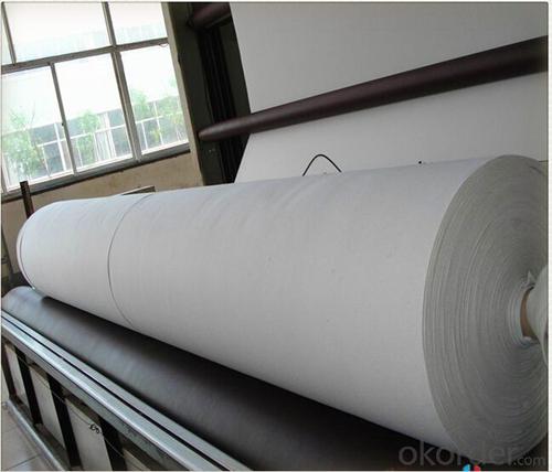 200g PP Nonwoven Geotextile for Earthwork Project System 1