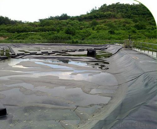 Geomembrana Para Piscicultura - HDPE Geomembrane Black Plastic Sheeting System 1