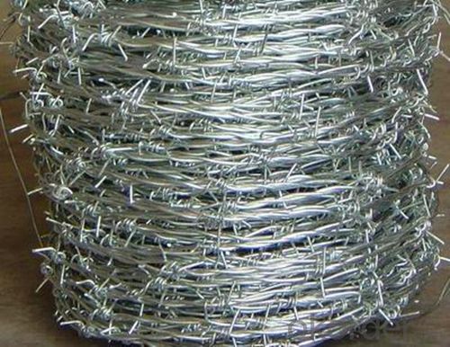 Barbed Wire/Galvanized Wire/PVC Coated Concertina Wire