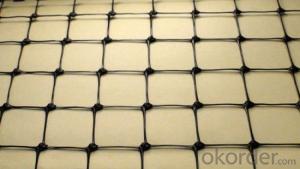 Geogrid for Plastic for Architectural Engineering System 1