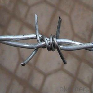 Barbed Wire/Galvanized Wire/PVC Coated Concertina Wire
