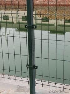 RAL 6005 Green Colour Wire  Mesh Fencing
