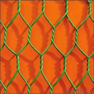 Hexagonal Wire Mesh Chicken Netting Hot Seller China Reliable Supplier Factory