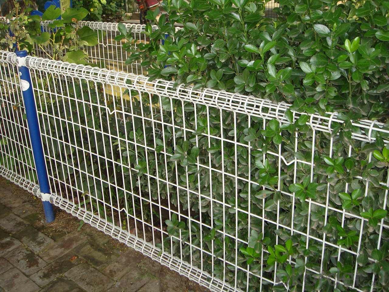 Metal Fence Mesh Wand Double Rod Mat Michl LXH 30 M x 100 cm Moss Green 