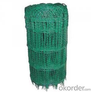 Border Fence/PVC Coated Wire wigh High Quality