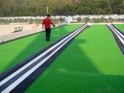 China Golden Supplier Affordable Artificial Grass For Football System 1