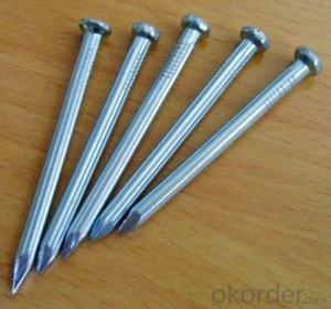 Iron Nails with Good Price and High Quality