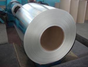 Galvanized Steel Coil/Hot Dipped Galvanized Steel Strips Coil System 1