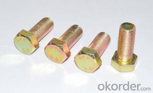 DIN603 Carriage Bolt From Factory High Quality Bolt Low Price
