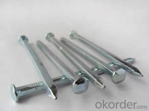 Galvanized Boat Nails with Good Price and High Quality System 1