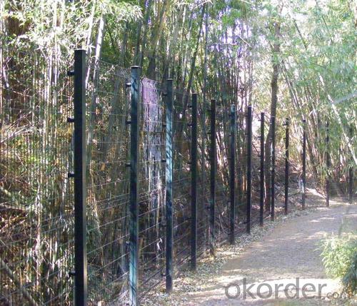 The Forest Quarantine Protecton Wire Mesh  Fence System 1