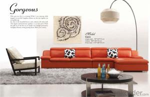 Living Room Furniture of Top Grain Leather