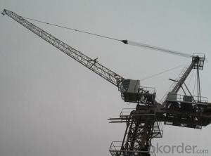 Luffing Tower Crane of TCD420 with 25 Ton Max Load System 1