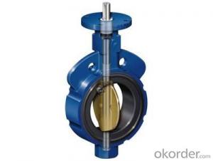 Butterfly Valve(304/316L TC Vlamp/Thread/Male-Female Connection CNC Machine System 1