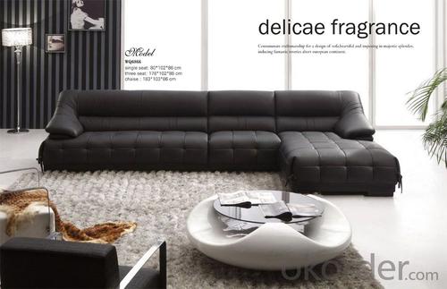 Leather Living Room Sofa of Environmental Material System 1