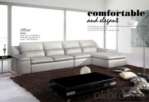 Living Room Furniture of Top Grain Leather