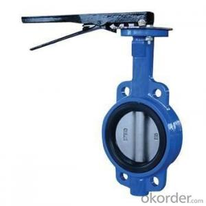Butterfly Valves PN18 Wafer Type And Concentric Design System 1
