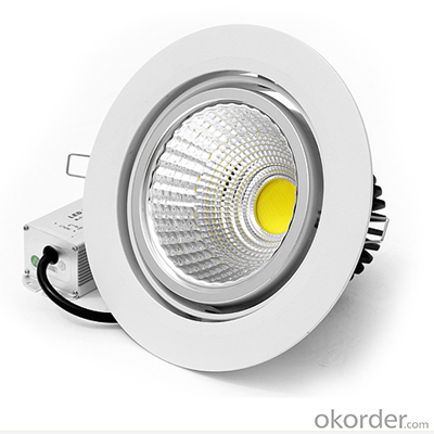 Downlight Spotlight  Manufacturers 2 Years Warranty 9w To 100w With Ce Rohs c-Tick Approved