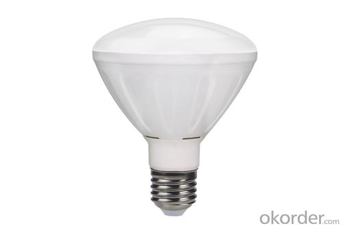 LED  BULB   LIGHT   A70E27-TP022-2835T12W System 1