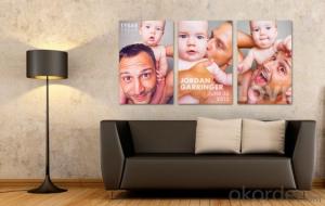 Wholesale Stretched Canvas Prints Customized Pictures